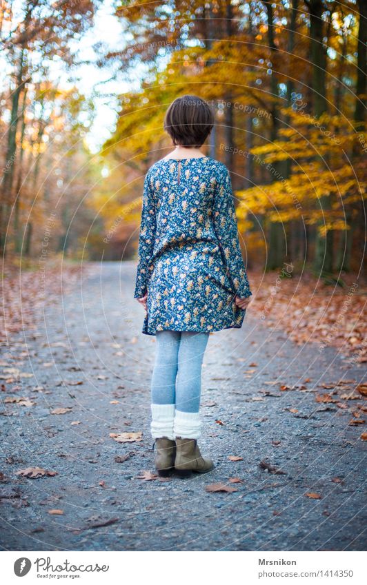 waiting Human being Feminine Child Girl Infancy Youth (Young adults) Life 1 8 - 13 years Natural Loneliness Individual Wait Retirement Looking Autumn Autumnal
