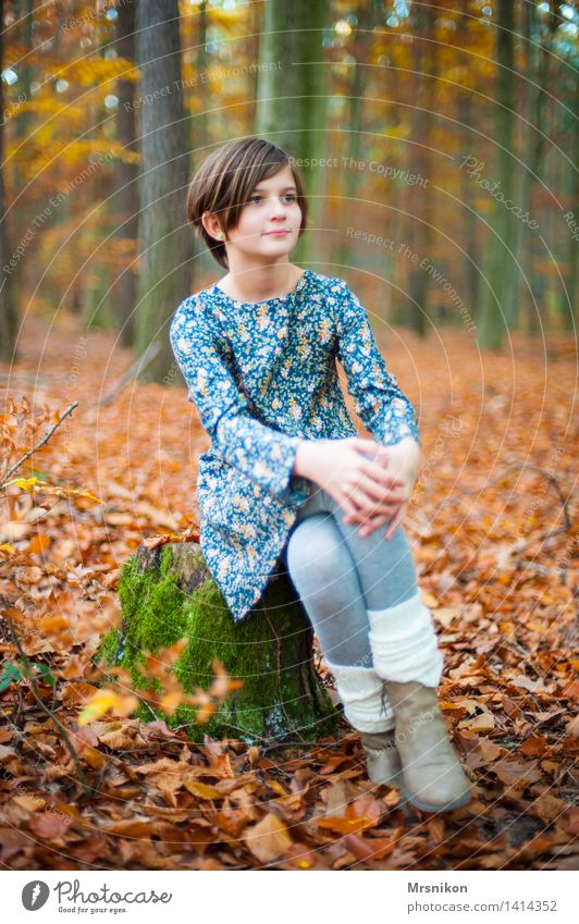 autumn forest Human being Child Girl Infancy Youth (Young adults) Life 1 8 - 13 years Autumn Forest Looking Sit Wait Autumnal Autumn leaves Cuffs or leggings