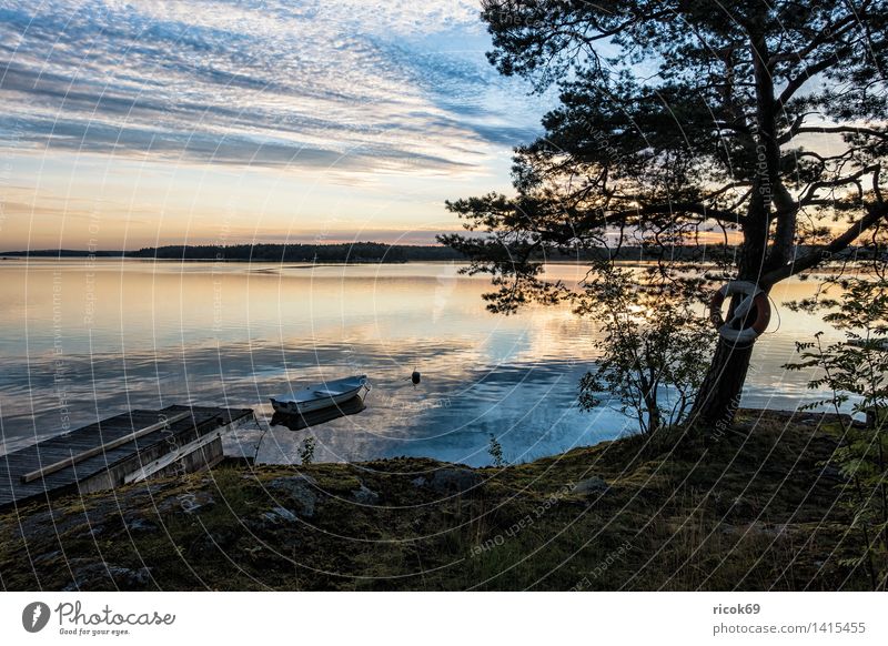 Archipelago on the Swedish coast Relaxation Vacation & Travel Tourism Island Nature Landscape Clouds Tree Coast Baltic Sea Ocean Watercraft Blue Green Moody