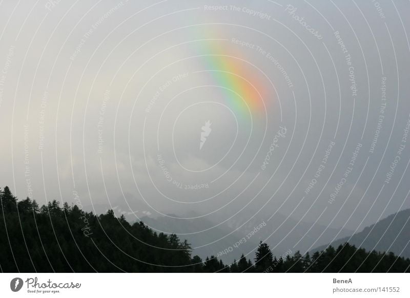 Rainbow Archetail Clouds Forest Tree Silhouette Multicoloured Raincloud Patch of colour Weather Light Dark Deep Bad weather Glittering Happiness Mountain Sky