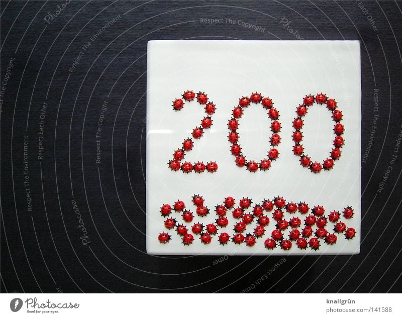 200 - WE ARE JUST THE BEGINNING! Ladybird Spotted Digits and numbers Beetle Animal Insect Plastic Jubilee Square White Gray Red Black Obscure two hundred