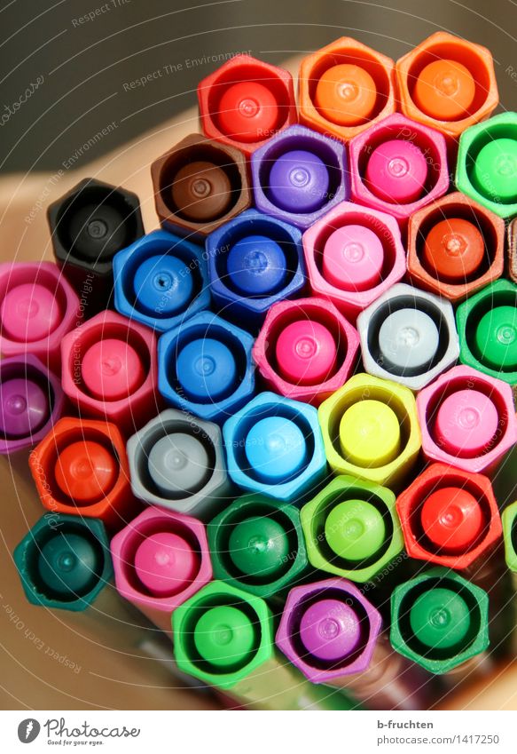 crayon honeycomb Collection Crayon Fresh Multicoloured Felt-tipped pen Honeycomb Honeycomb pattern Office Playing Colour photo Interior shot Deserted