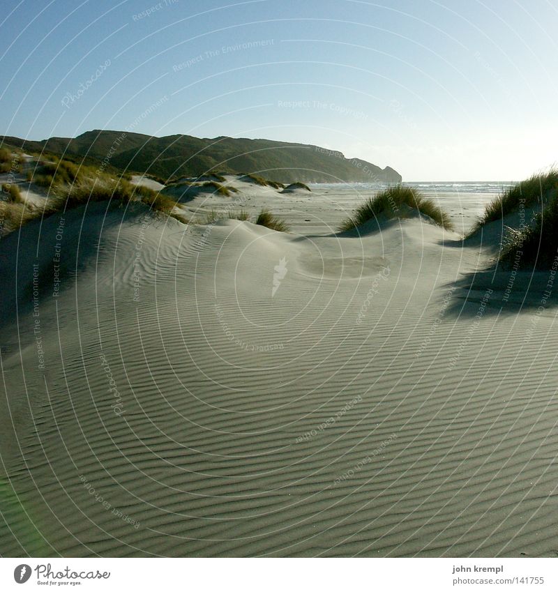 cellulite Sand Beach dune Farewell Spit New Zealand Abel Tasman National Park Light Light (Natural Phenomenon) Sky Far-off places Ocean Diffuse Grass Coast