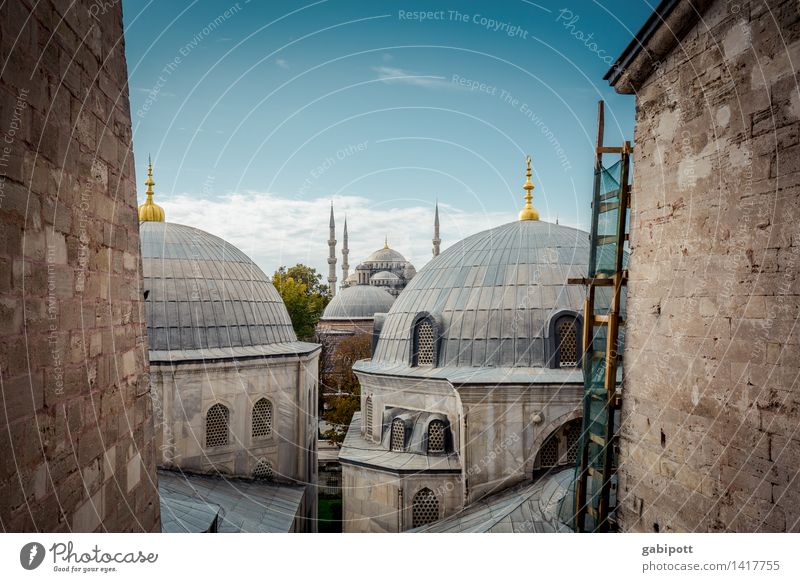 Believe and let believe! Tourism Trip Adventure Far-off places Sightseeing City trip Istanbul Turkey Capital city Downtown Old town Church Dome
