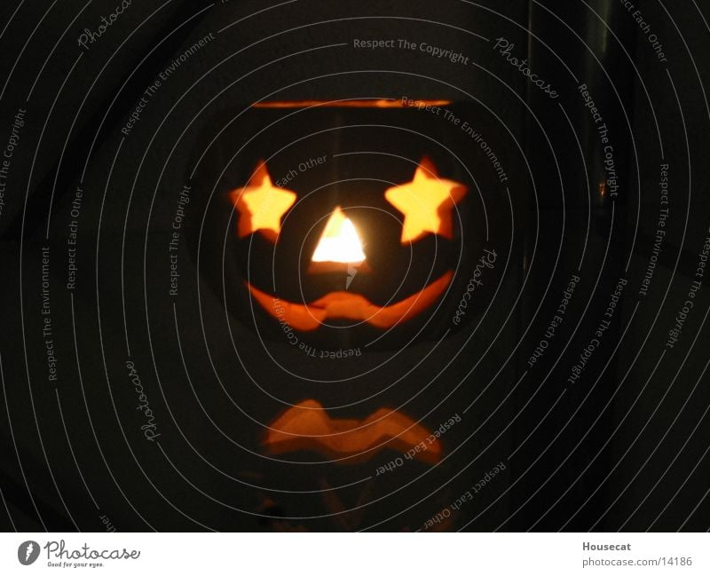Halloween Hallowe'en Light Creepy Obscure Pumpkin