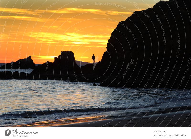 Silhouette of a man at sunset on a rock jetty Human being 1 Nature Landscape Sunrise Sunset Summer Beach Athletic Success Yellow Orange Power Might Adventure