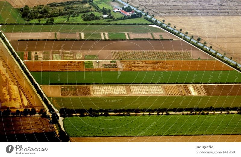 Field and meadow geometry Meadow Tree Avenue Farm House (Residential Structure) Agriculture Geometry Street Line Structures and shapes Sowing Nutrition Harvest