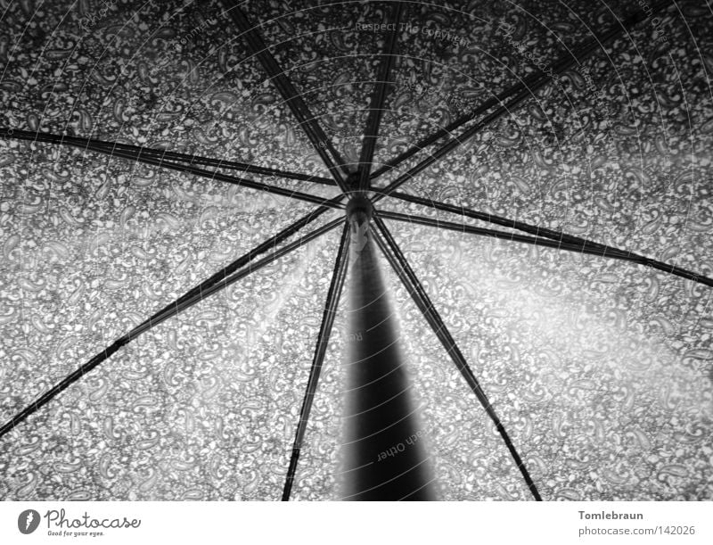 UmBRelLA Umbrella Pattern Shadow Rod Rain Umbrellas & Shades Light Star (Symbol) Art Arts and crafts  Black & white photo Thunder and lightning
