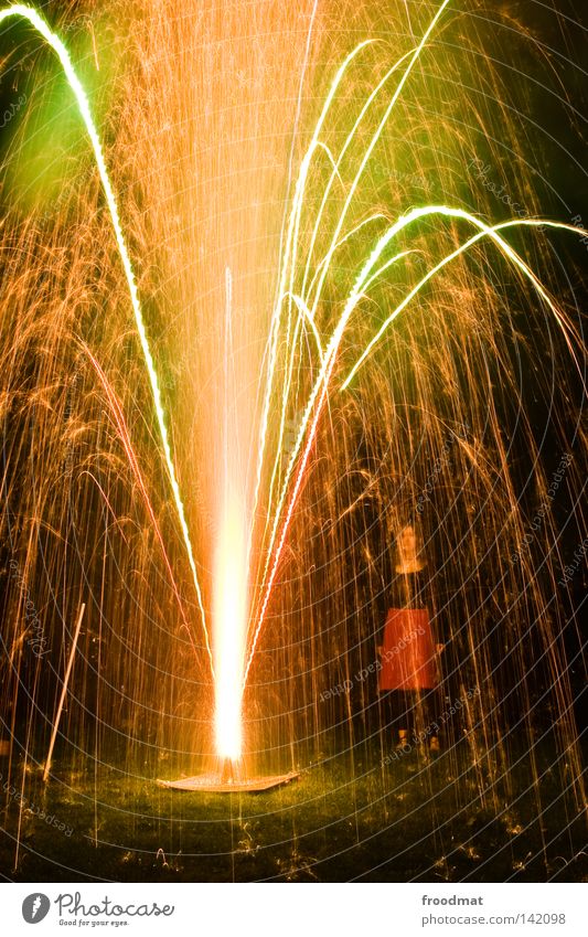 shower of gold Explosion Water fountain Fountain Light Goldenchain tree Meadow National Day Switzerland Public Holiday New Year's Eve Party Exuberance Romance