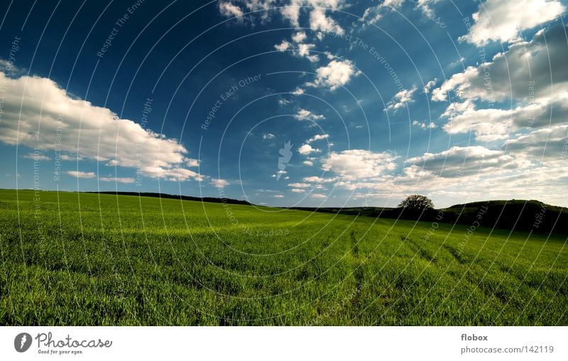 It's a beautiful day II Field Agriculture Far-off places Clouds in the sky Green Blue Exterior shot Landscape Nature Deserted Central perspective