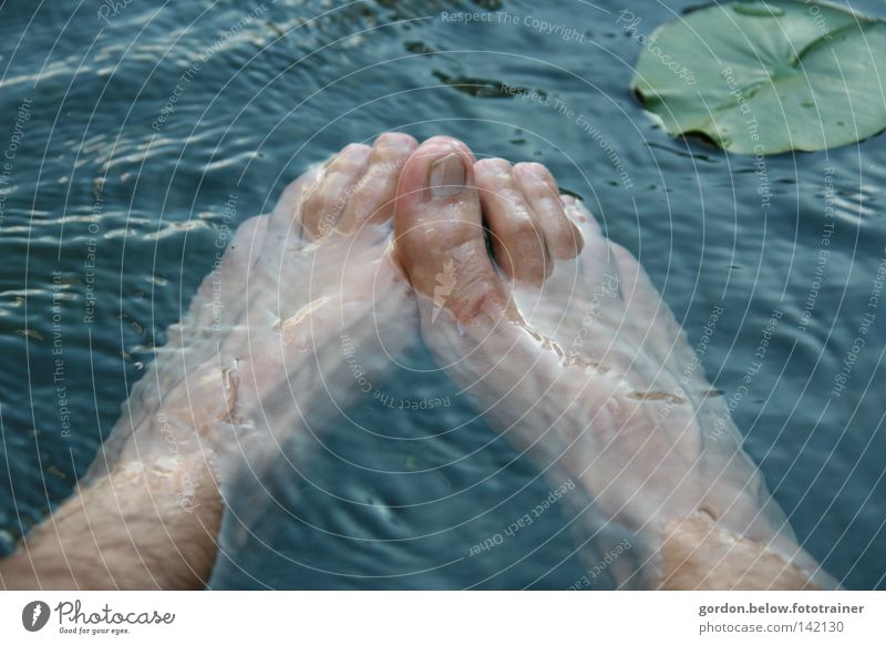 Shoes off, in the wet Water Refreshment Water lily Feet Toes Waves Toenail Cold Wash Joy Blow tenails Foot bath Barefoot