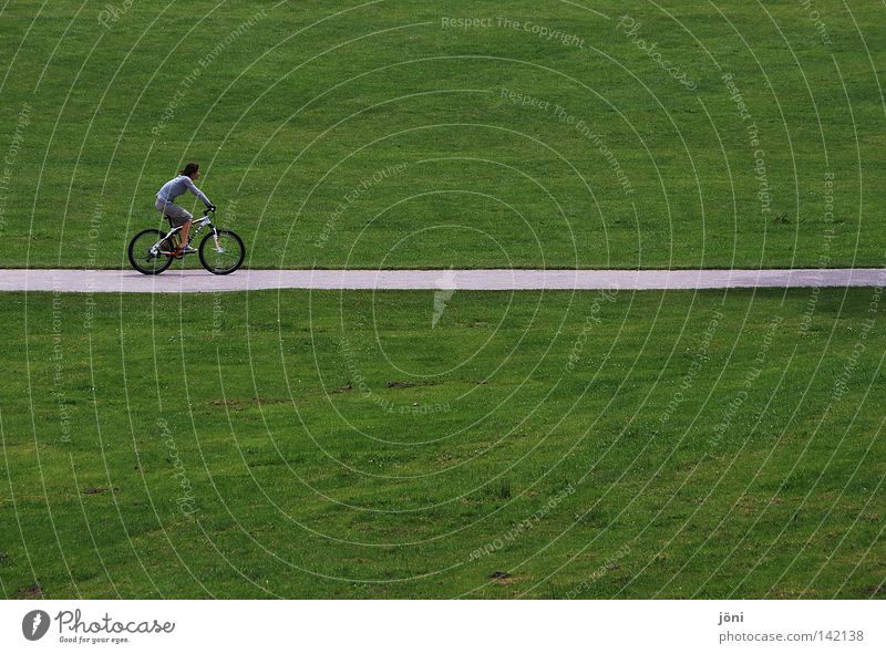 Cyclists on the road Green Relaxation Smoothness Consistent Groomed Lawn Lawnmower Plant Maturing time Round Speed Park Leisure and hobbies Contentment Equal