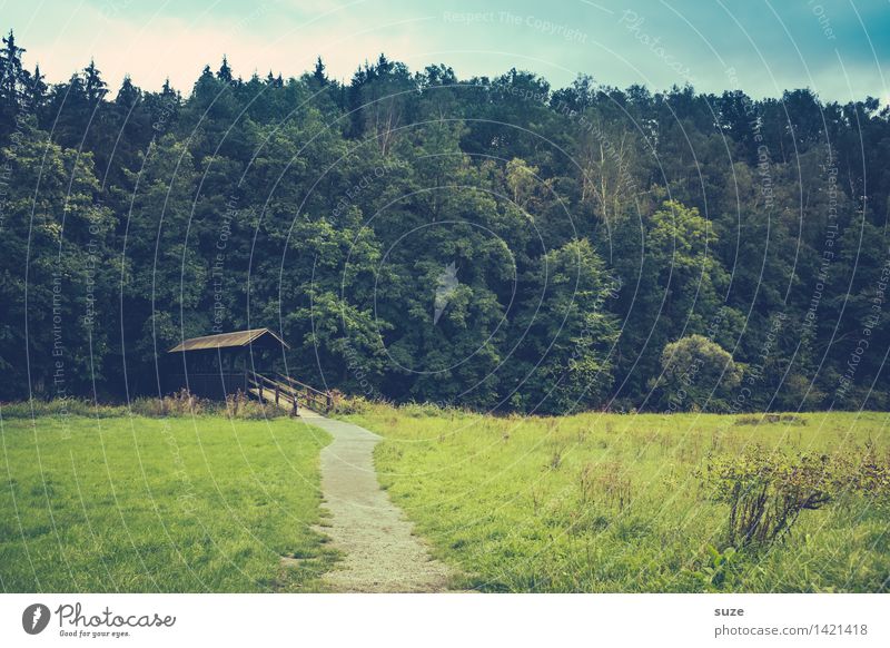 Silence in front of the forest Relaxation Calm Cure Leisure and hobbies Trip Agriculture Forestry Environment Nature Landscape Plant Sky Summer Meadow Hut
