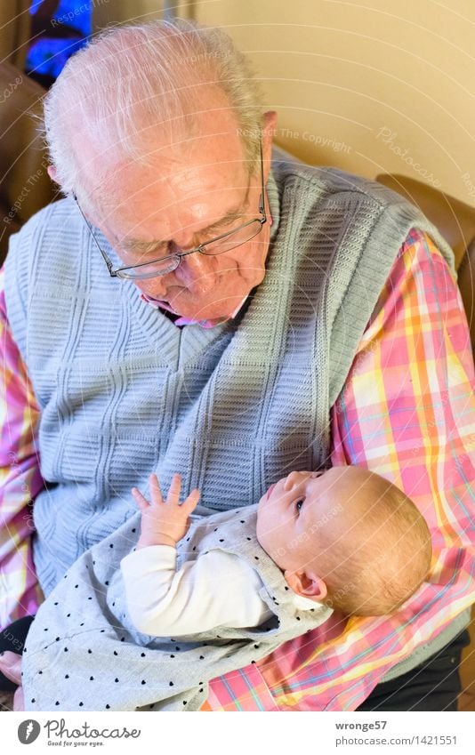 encounter Human being Masculine Baby Girl Grandfather 2 0 - 12 months 60 years and older Senior citizen Old Small Gray Pink Red White Happy Sympathy Interest