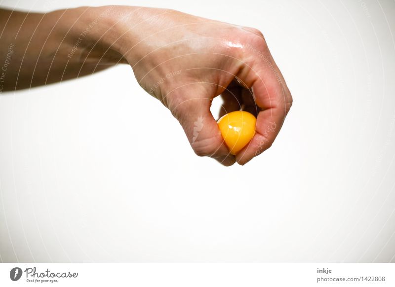 Finger food: The yellow of the egg. Food Yolk Egg Nutrition Ingredients Leisure and hobbies Masculine Feminine Adults Life Hand 1 Human being To hold on Disgust