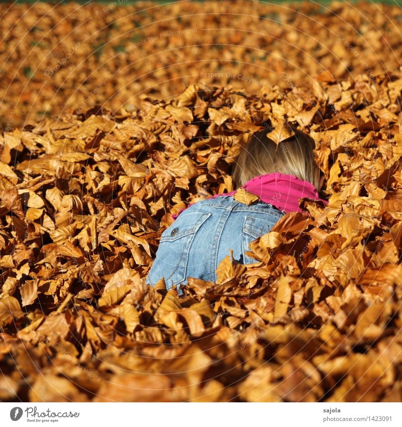 immerse yourself in autumn Human being Feminine Child Toddler Girl Bottom 1 1 - 3 years Environment Nature Autumn Beautiful weather Leaf Beech leaf Park Dry