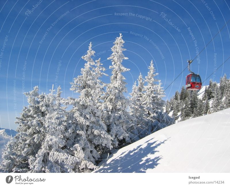 WinterWonderLand 1 Virgin snow Austria Fir tree Snow Cable car Gondola Snowscape Snow layer Mountain forest Coniferous forest Idyll Characteristic Upward