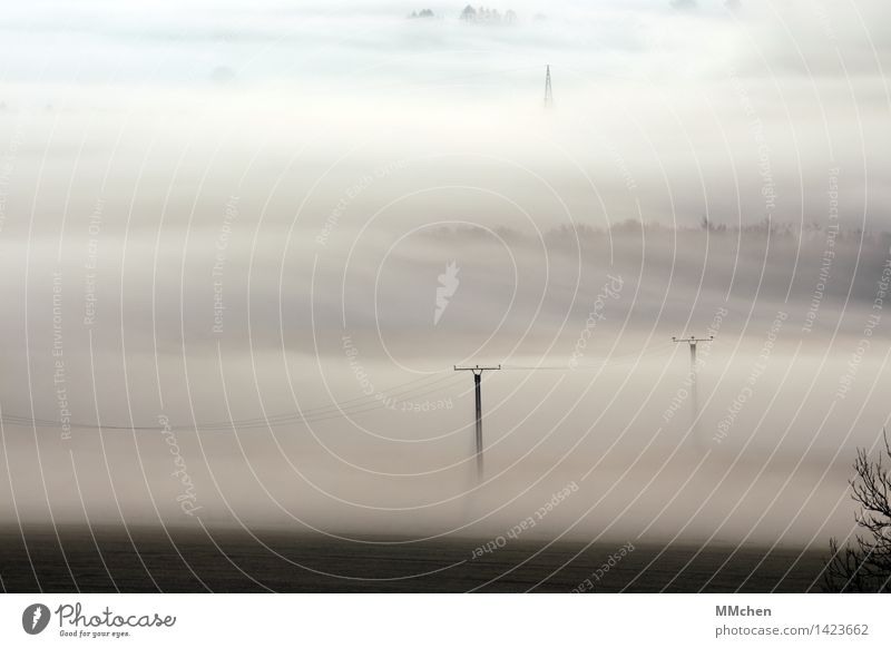 About country Nature Landscape Autumn Fog Field Wait Gray Calm Apocalyptic sentiment Cold Surrealism Covered Hide Unclear Electricity Electricity pylon Cable