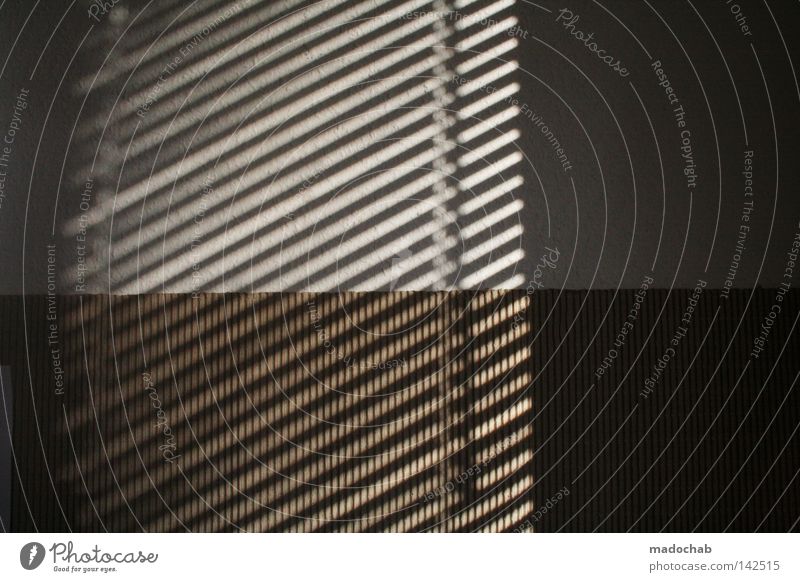 Hearts & checks Shadow Line Graphic Parallel Wall (building) Summer Gloomy Venetian blinds Window Limited Chic Peace Vantage point Structures and shapes pattern
