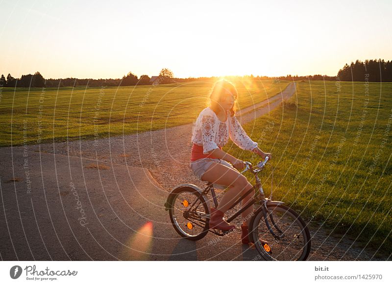 LAST RAYS Vacation & Travel Trip Adventure Nature Field Cycling Lanes & trails Joy luck Joie de vivre (Vitality) Hippie Flower power Colour photo Exterior shot