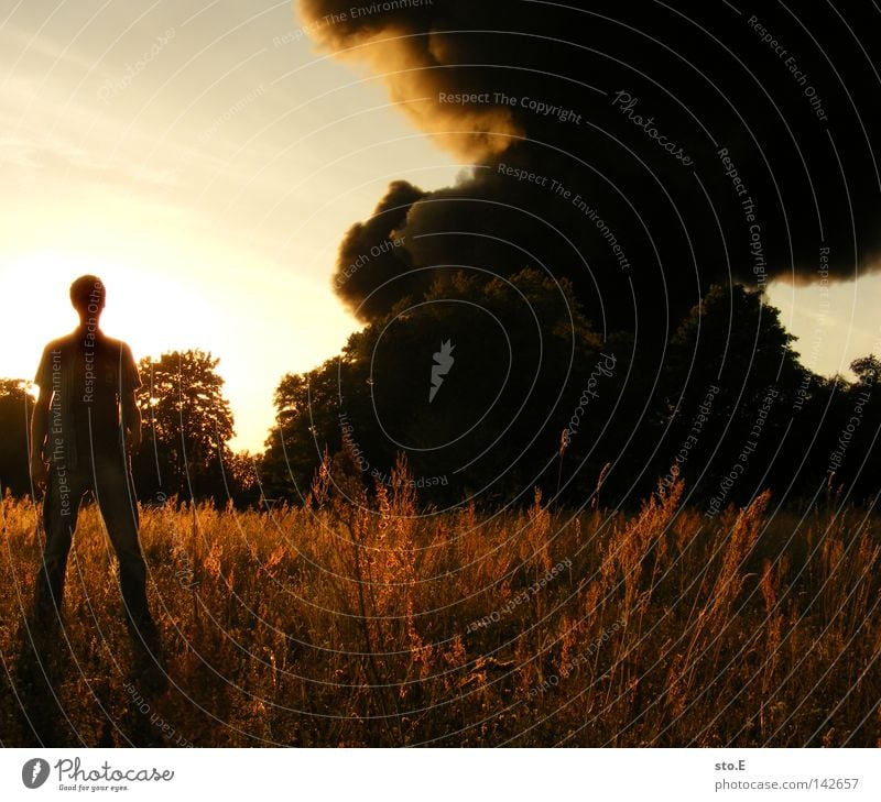 the arsonist Fellow Man Youth (Young adults) Field Meadow Black Clouds Smoke Shadow Dazzle Glare effect Darken Tree Eerie Fear Panic Sky Human being