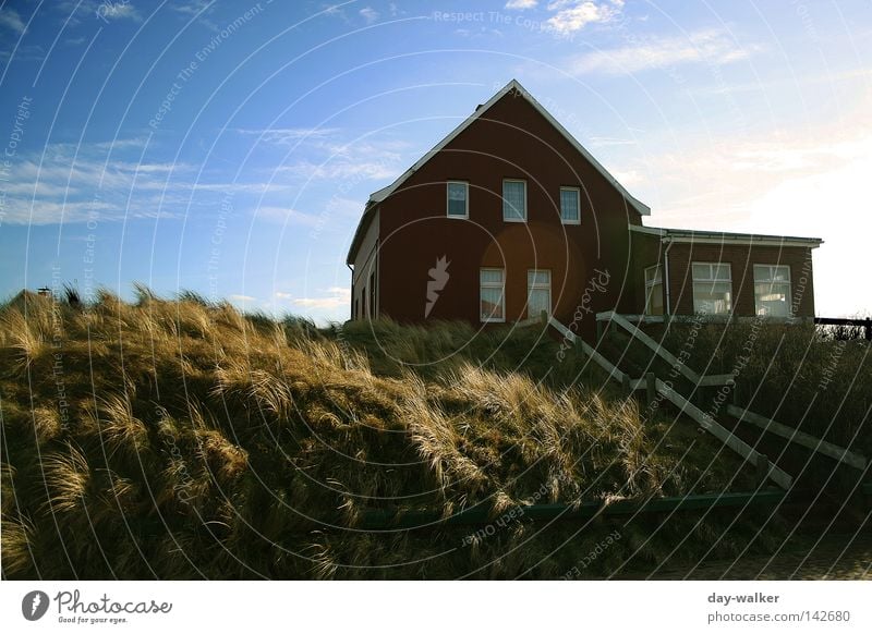 Fresh breeze Ocean Beach Coast Grass House (Residential Structure) Clouds Vacation home Light Evening sun Sky Wind Climate North Sea Island Nature Beach dune