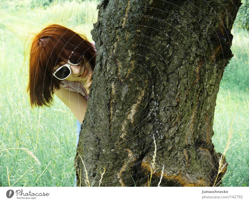 My friend the tree Woman Tree Tree trunk Tree bark Eyeglasses Sunglasses Nature Animal Joy Laughter Good mood Summer Meadow Field Hide Hidden Hiding place