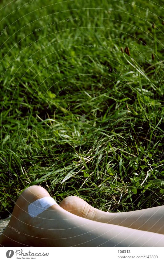 girl problem Feet Bubble Adhesive plaster Grass Meadow Lie Wound White Friction Legs Nature Relaxation Break Calm Stick Barefoot Woman Hairy legs European Pain