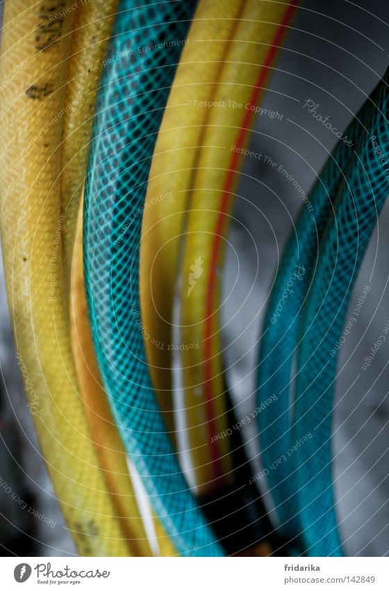 garden hoses Gardening Craft (trade) Water Drops of water Hose Concrete Plastic Line Fresh Wet Yellow Gray Green Chaos Cast Dynamics Curved Muddled Rubber