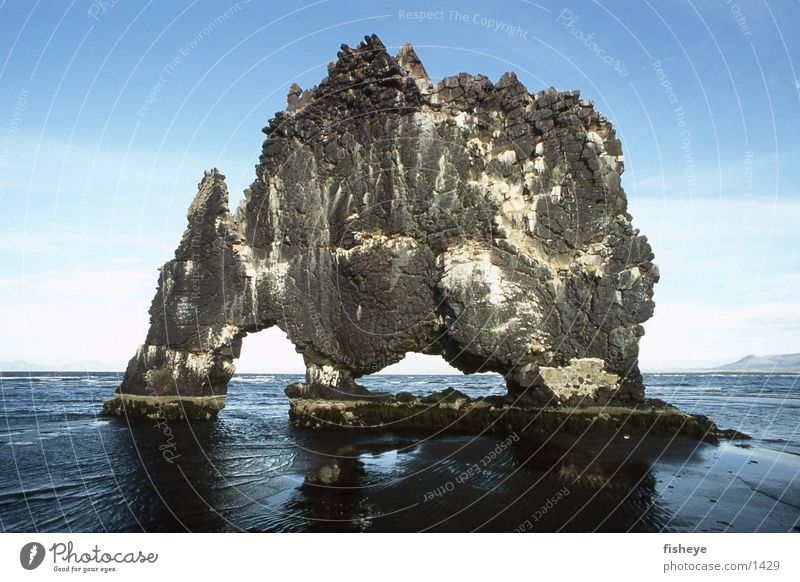 Hvítserkur Iceland Ocean Coast Hvitserkur Rock Stone bizarre monster
