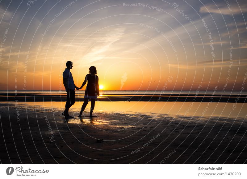 couple in love, silhouettes Lifestyle Vacation & Travel Tourism Freedom Summer Sun Beach Ocean Island Human being Family & Relations Couple Partner