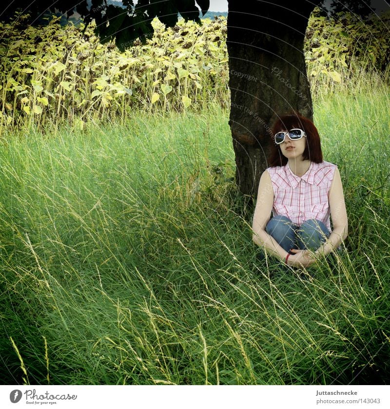 A Saucerful of Secrets Woman Eyeglasses Sunglasses Tree Meadow Grass Field Nature Animal Crouch Sit Dream Dreamily Romance Think Thought Peace Summer Peaceful
