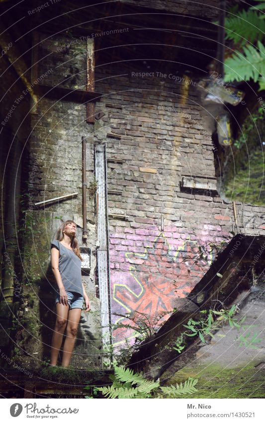 lost places Feminine Skin Legs Plant Fern Industrial plant Ruin Building Wall (barrier) Wall (building) Long-haired Dirty Town Loneliness Shorts Stand Observe