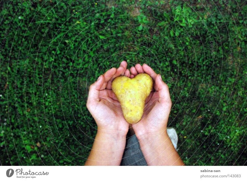 Heart - in which hands is yours? Love Hand To hold on Grass Loneliness Going Carrying Potatoes Lovely Caution Uniqueness Doomed Abuse Trust Beautiful Esthetic