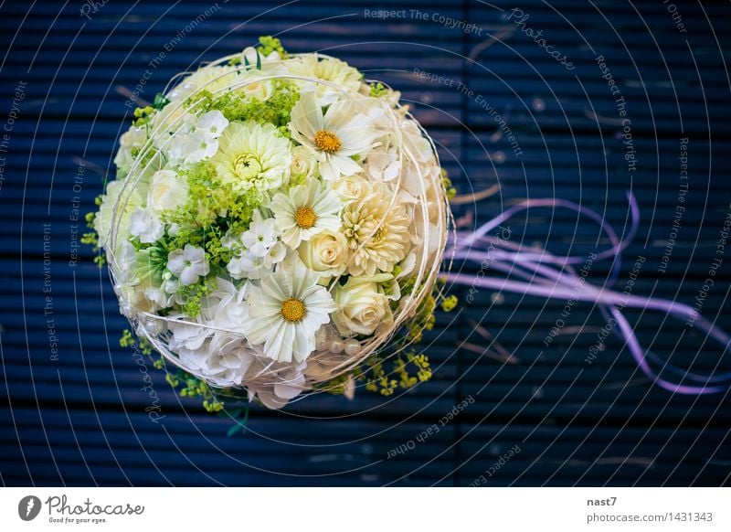 wedding posy Elegant Joy Beautiful Event Feasts & Celebrations Wedding Flower Rose Blossom Together Happy Blue White Emotions Happiness Love Life "flower