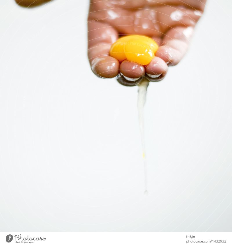 Hand, die ein Eigelb hält Food Yolk Albumin Nutrition Eating Ingredients Youth (Young adults) Adults Life Fingers To hold on Disgust Yellow Innovative