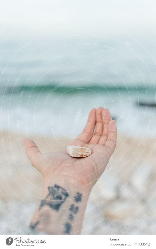 ...this stone to you... Lifestyle Vacation & Travel Beach Ocean Waves Hand Fingers Palm of the hand 1 Human being Tattoo Environment Nature Sunlight