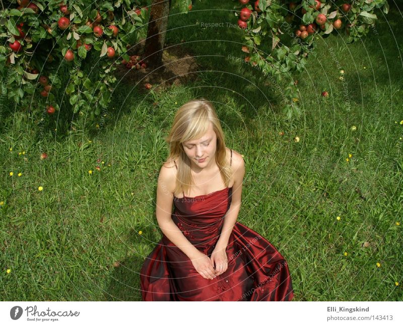 The apple girl Apple Apple tree Red Green Dress Long Lawn Blonde Woman Sit Grass Garden Meadow Yellow Grief Think Folded Mature Beautiful pauline Sadness