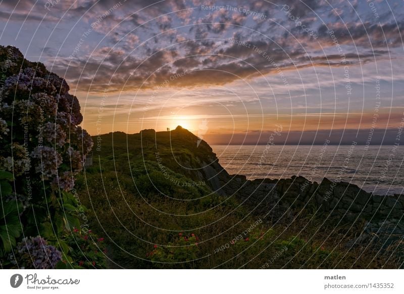 last light Human being 2 Nature Landscape Plant Sky Clouds Horizon Sunrise Sunset Sunlight Weather Beautiful weather Flower Leaf Blossom Wild plant Rock Coast