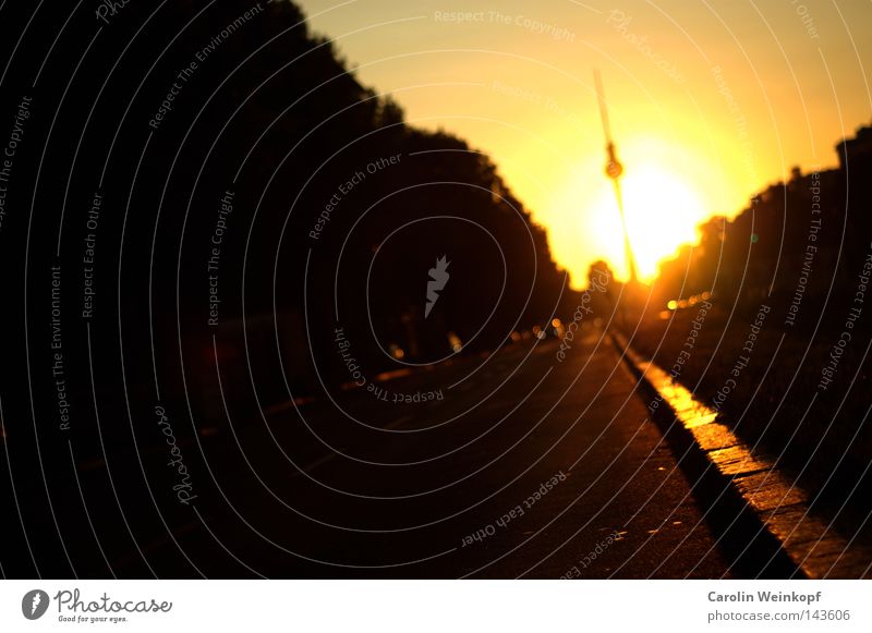 Berlin by the sea. It would be nice if that were the case. Karl-Marx-Allee Frankfurter Allee Feeder road Alexanderplatz Sunset Evening sun Tree Driving