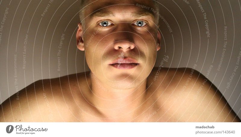 portrait young man eye contact Neutral Background Upper body Looking Looking into the camera Forward Face Human being Masculine Young man Youth (Young adults)