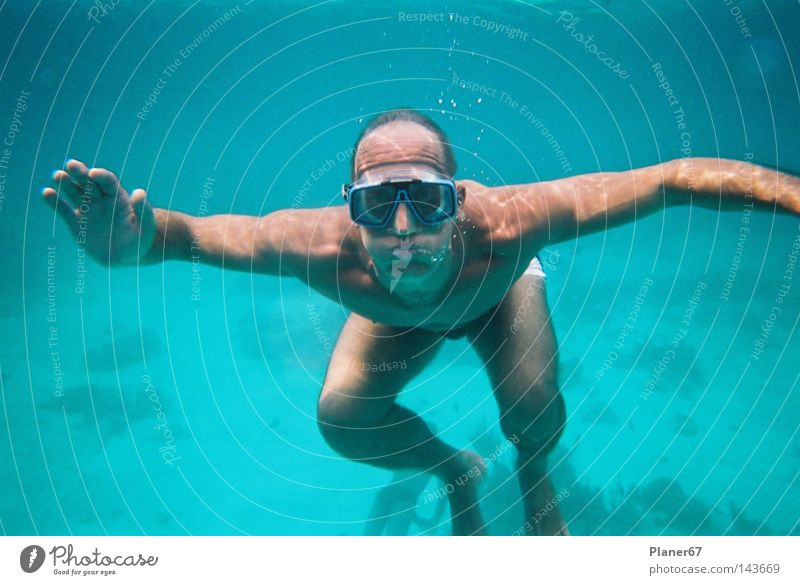 airhead Dive Water Ocean Caribbean Sea Atlantic Ocean Snorkeling Joy Fear Panic Man happiness hormones lack of air