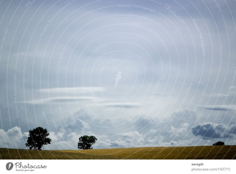 Freedom Background picture Meadow Field Clouds Plant Free space Relaxation Peace Vantage point Horizon Cyan Minimalistic Ease Easy Rural Ecological