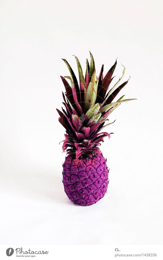 It's what it is. Food Fruit Pineapple Nutrition Esthetic Exceptional Uniqueness Violet Colour Innovative Inspiration Creativity Whimsical Colour photo