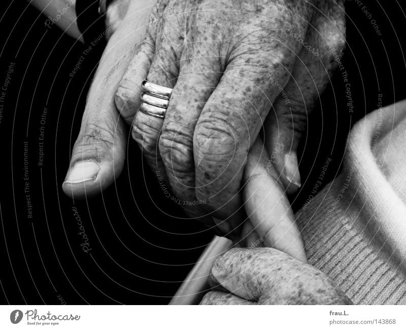 hands Hand Man Woman Senior citizen Old Trust Familiar Protection To hold on Ring Wrinkles To console Mother Communicate Intimacy Near Love Caresses Affection