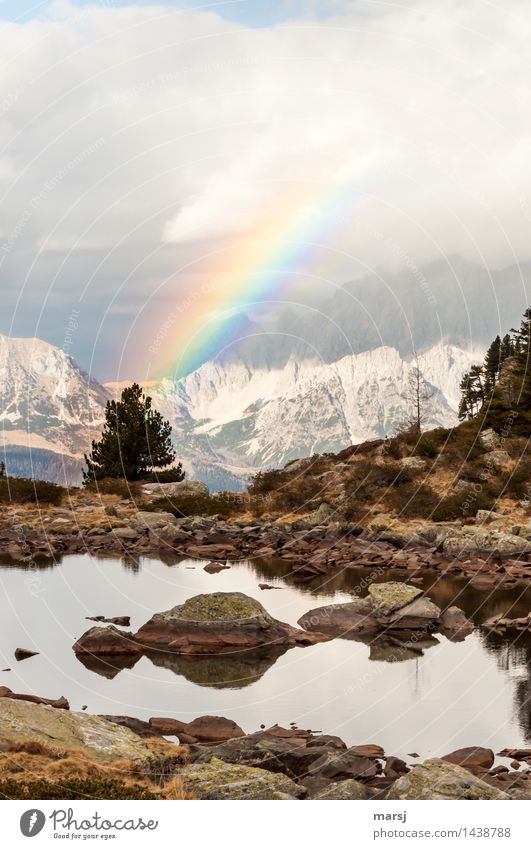 a merry christmas Nature Landscape Clouds Autumn Bad weather Alps Mountain Dachstein Rainbow Sign Illuminate Memory Symbols and metaphors Events Anticipation