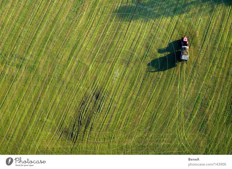 Mr. Tractor Driver 2 Agriculture Utility vehicle Vehicle Field Meadow Green Line Symmetry Geometry Work and employment Generator Shadow Evening sun Red
