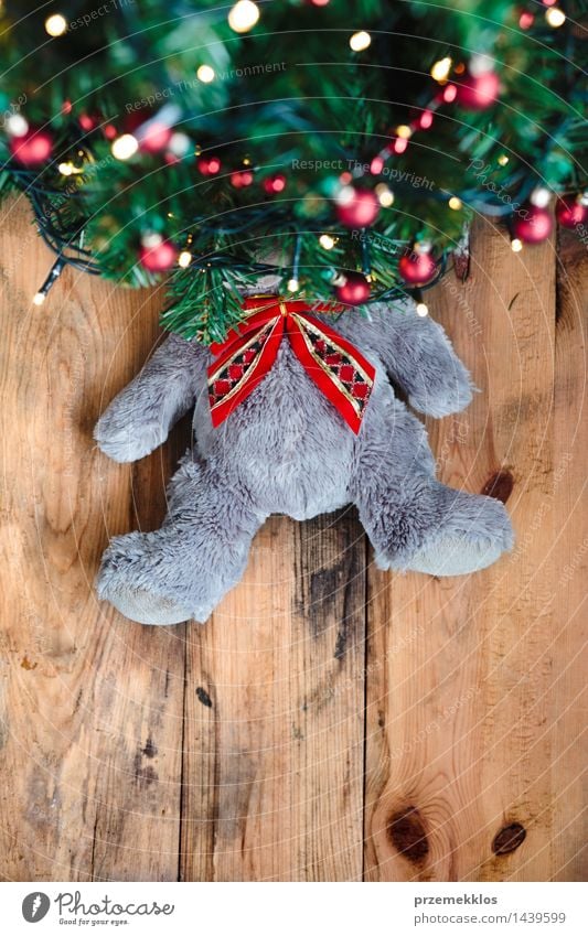 Teddy bear under the Christmas tree Decoration Christmas & Advent Tree Toys Wood Tradition Bear Guest christmas Copy Space December Story Gift holiday Home Pine