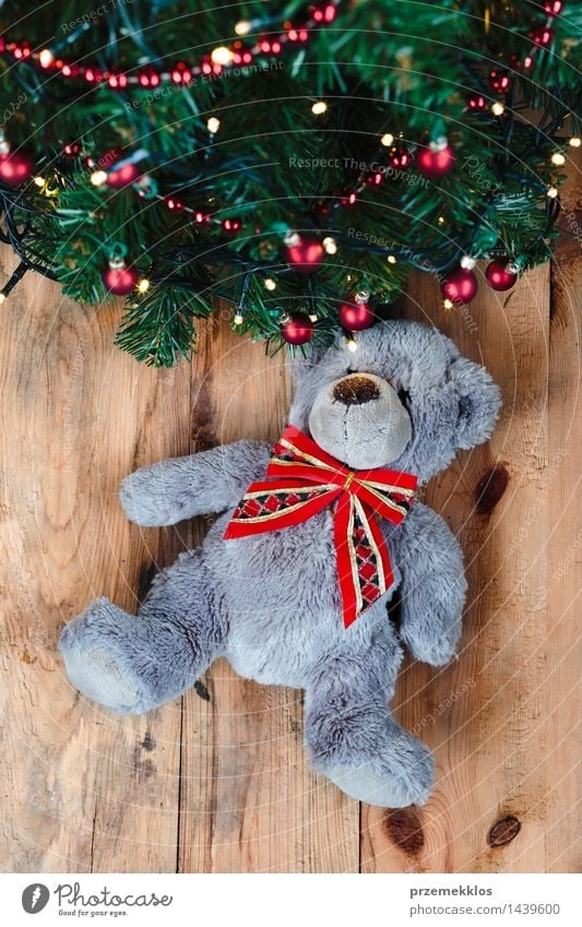 Teddy bear under the Christmas tree Decoration Christmas & Advent Tree Toys Wood Tradition Bear Guest christmas December Story Gift holiday Home Pine present