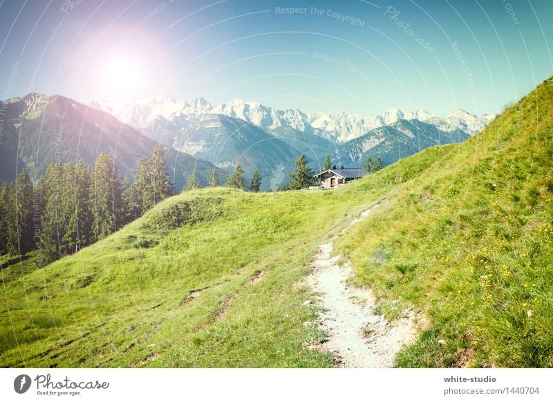 Up to the hut Joy Healthy Harmonious Contentment Relaxation Calm Vacation & Travel Tourism Trip Adventure Summer Summer vacation Mountain Hiking Environment